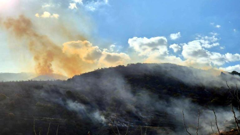 Tekirdağda makilik yangını, ormana sıçramadan söndürüldü