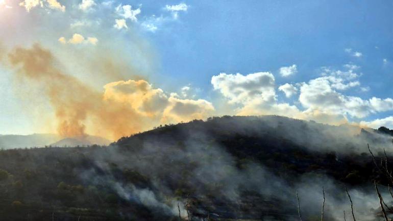 Tekirdağda makilik yangını, ormana sıçramadan söndürüldü