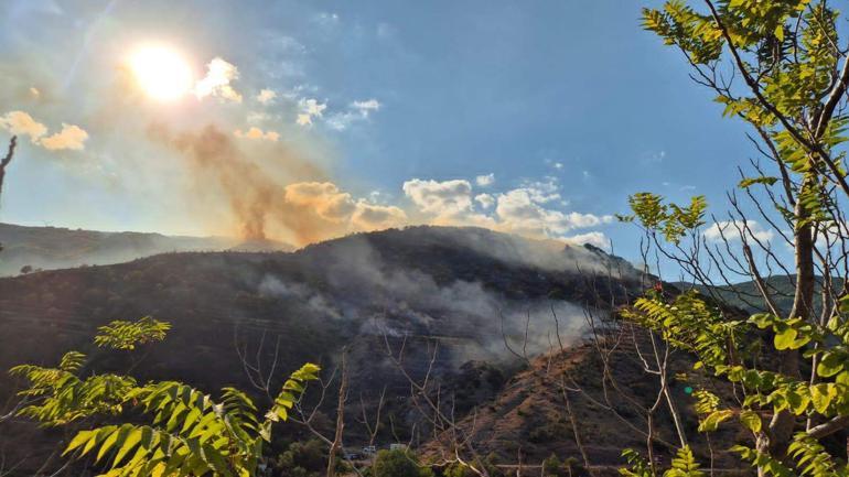 Tekirdağda makilik yangını, ormana sıçramadan söndürüldü