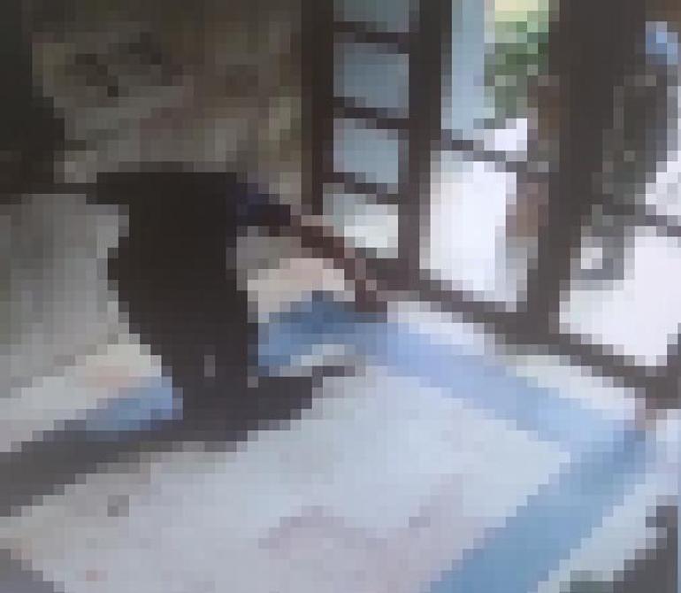 Başakşehirde kediyi işkence ederek öldüren şüpheli tutuklandı