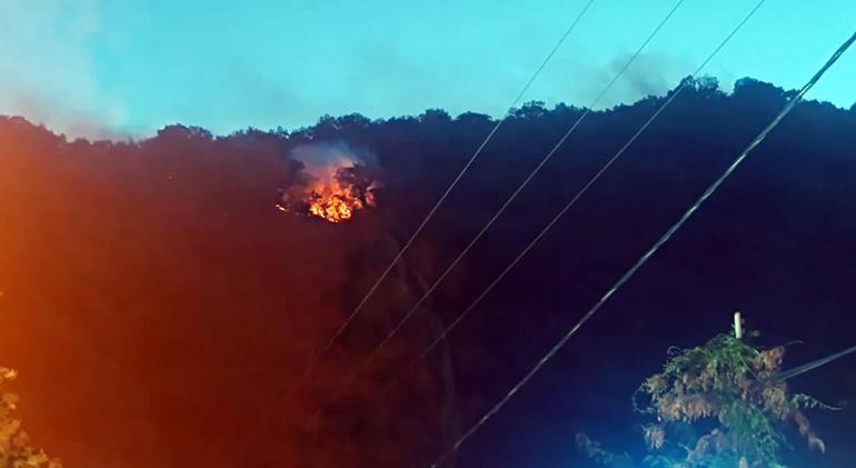 Tekirdağda makilik yangını, ormana sıçramadan söndürüldü