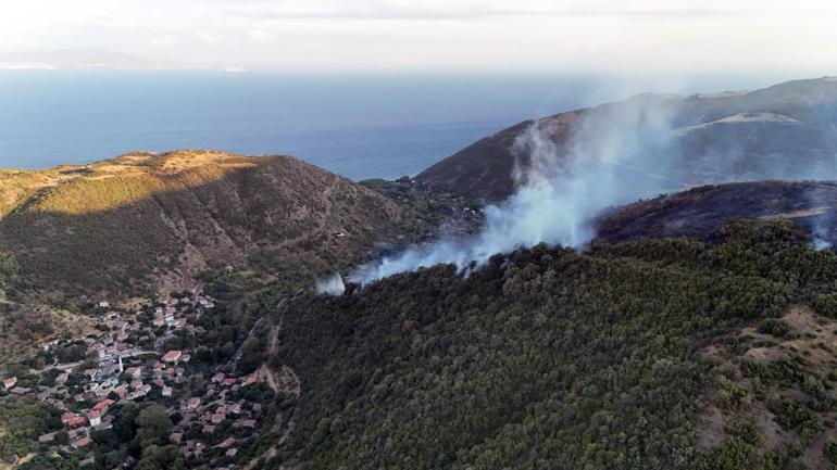Tekirdağda makilik yangını, ormana sıçramadan söndürüldü
