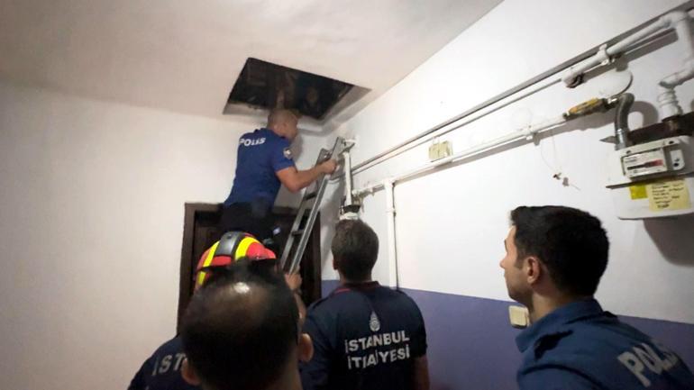 Avcılar’da cezaevi firarisi çatıda yakalandı