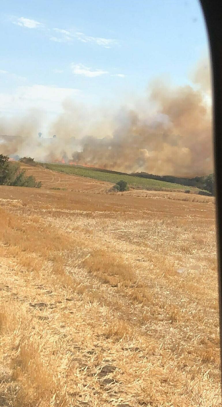 Çanakkalede tarım arazisinde yangın