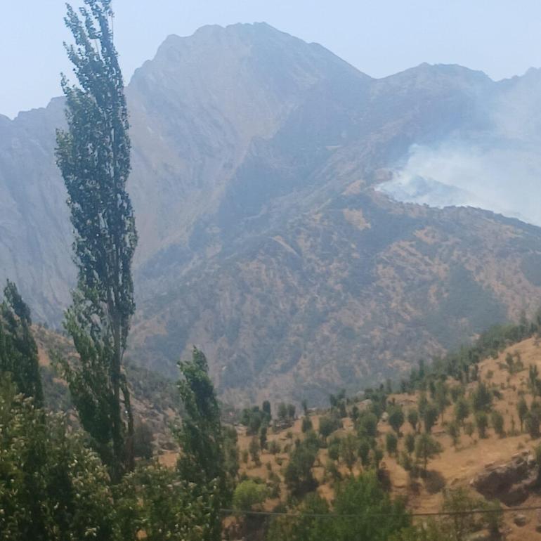 Şırnak’ta ormanda çıkan örtü yangını kontrol altında