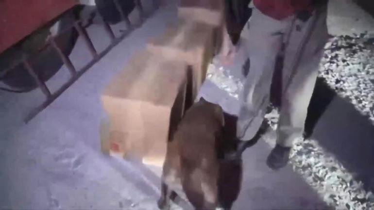 İstanbulda 9 ilçede operasyon: 336 kilogram uyuşturucu ele geçirildi; 20 kişi tutuklandı