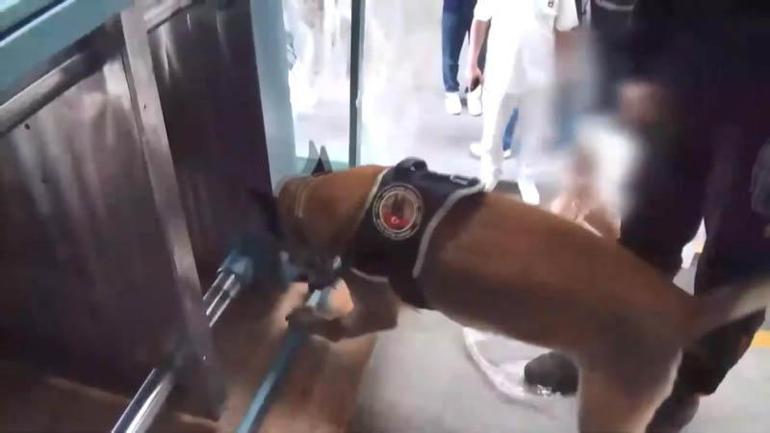 İstanbulda 9 ilçede operasyon: 336 kilogram uyuşturucu ele geçirildi; 20 kişi tutuklandı