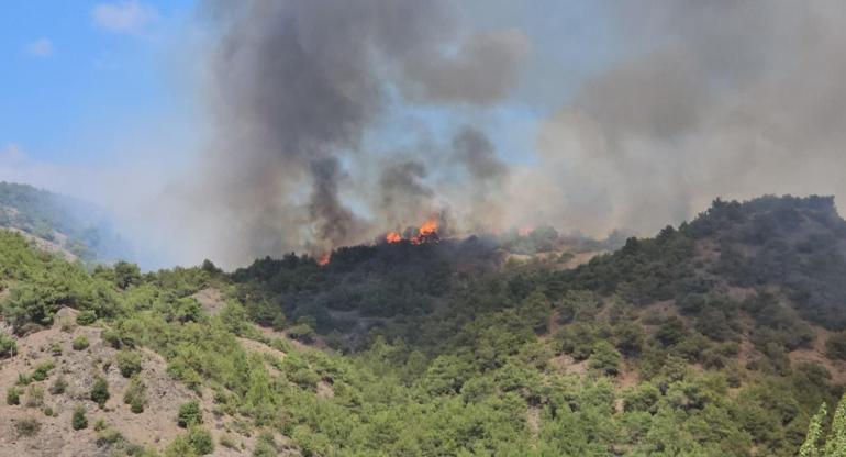 Tokat’ta orman yangını