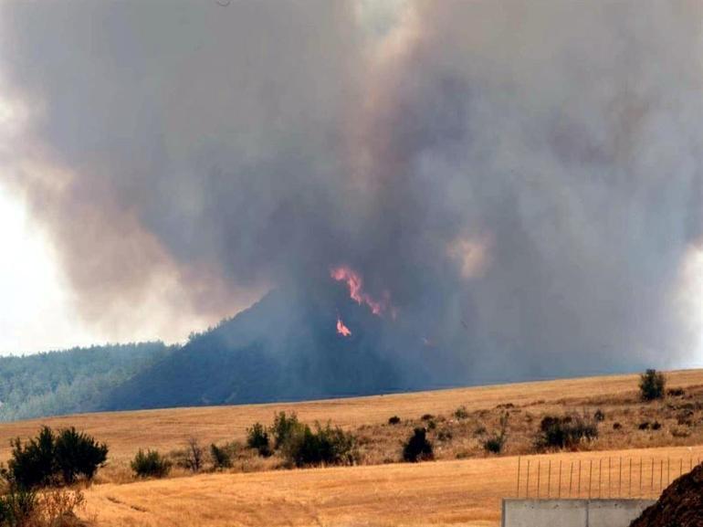 Edirnede makilikte çıkıp tarlaya sıçrayan yangın kontrol altında