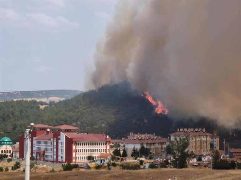 Edirnede makilikte çıkıp tarlaya sıçrayan yangın kontrol altında