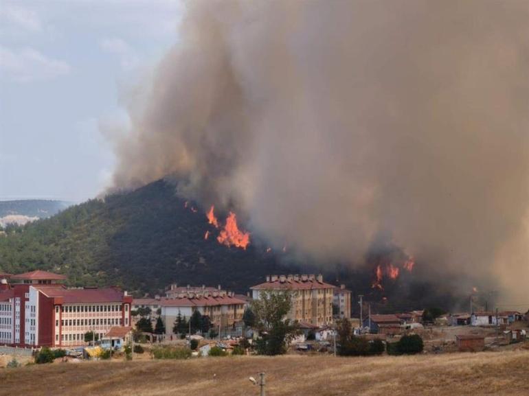 Edirnede makilikte çıkıp tarlaya sıçrayan yangın kontrol altında