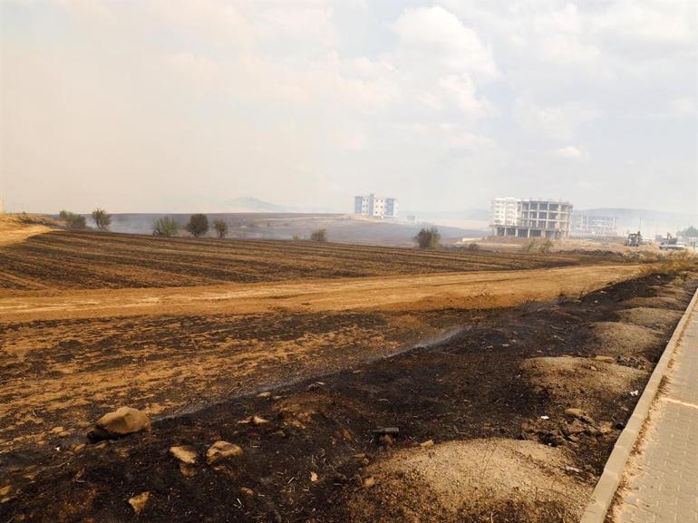 Edirnede makilikte çıkıp tarlaya sıçrayan yangın kontrol altında