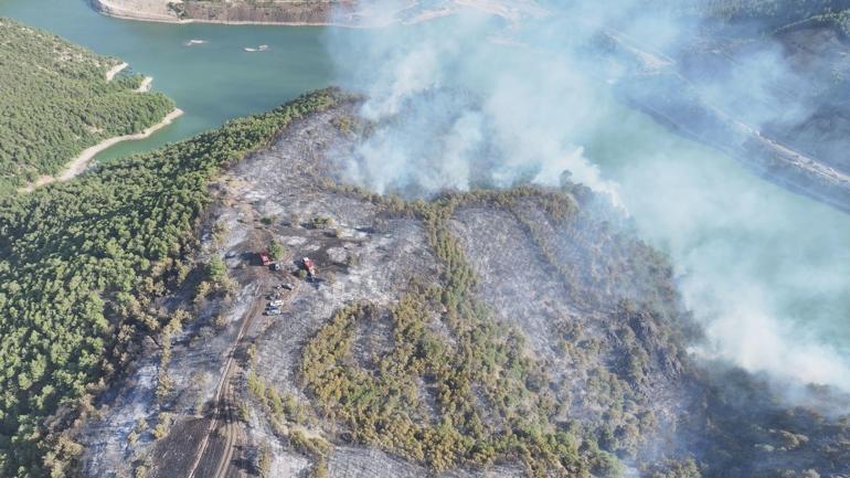 Tokat’ta çıkan orman yangını kontrol altına alındı