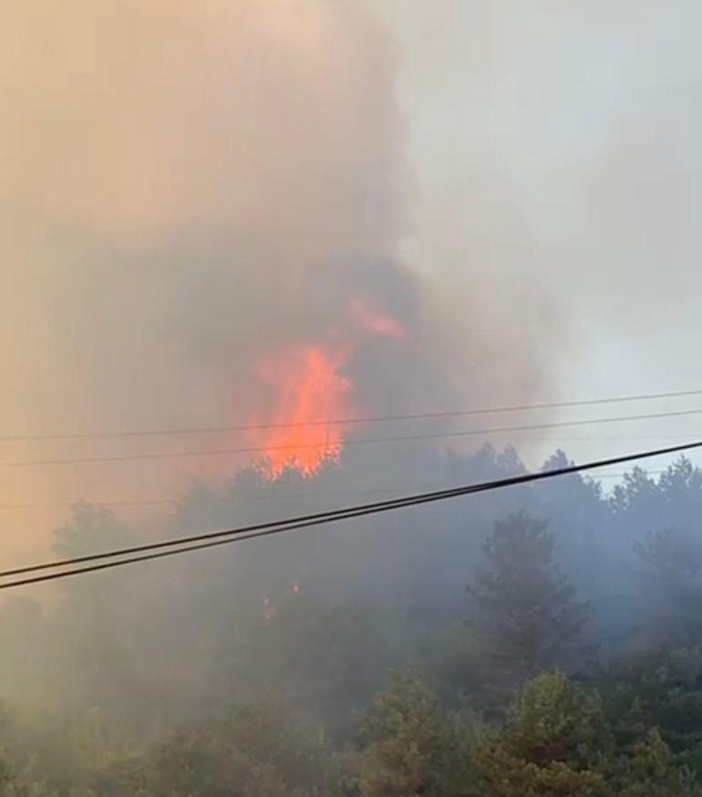 Bartında orman yangını kontrol altına alındı