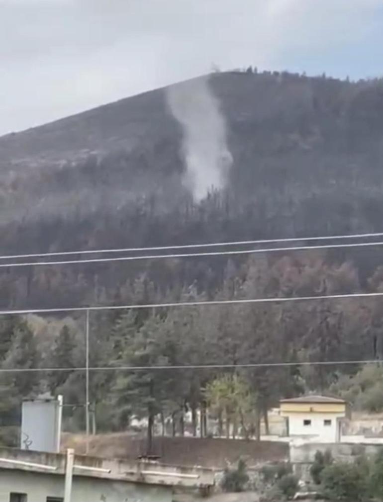 Hatayda geçen ay yanan ormanda hortum çıktı