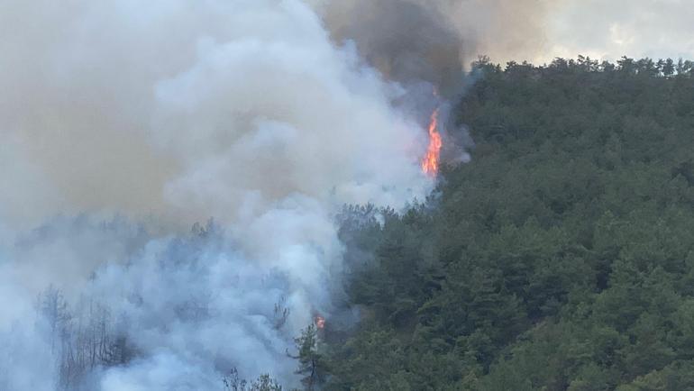 Karabükte orman yangını
