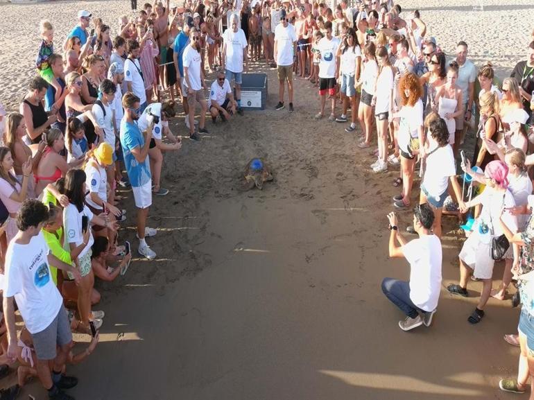 Ürettikleri ilk yerli uydu takip cihazı, caretta carettaya takıldı