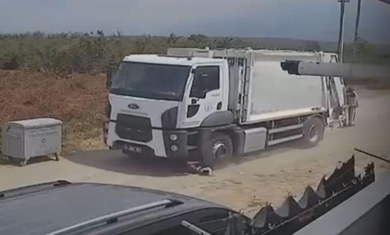 Ezerek öldürdükleri köpekleri çöp kamyonuna atıp götürdüler; o anlar kamerada