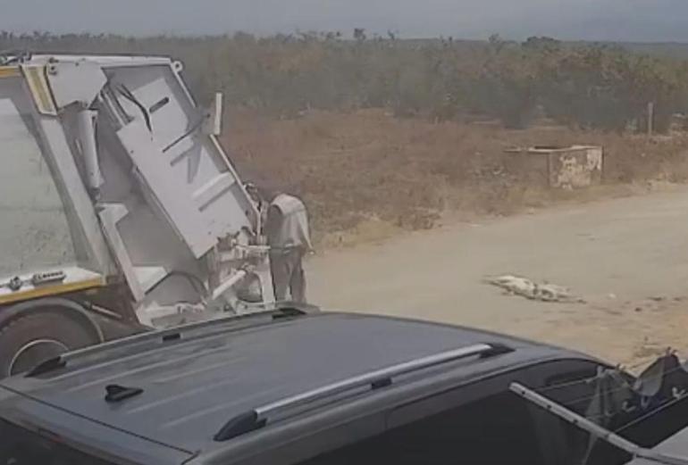 Ezerek öldürdükleri köpekleri çöp kamyonuna atıp götürdüler; o anlar kamerada