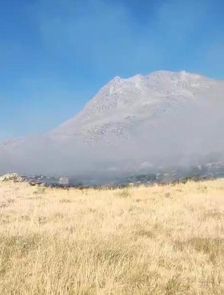 Aksaraydaki orman yangını kontrol altında