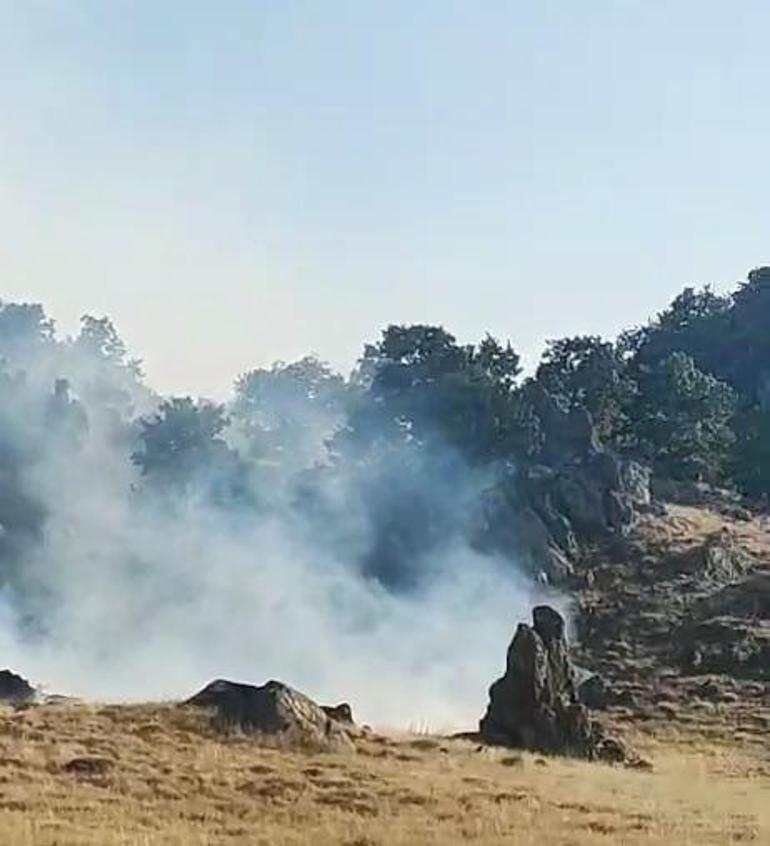 Aksaraydaki orman yangını kontrol altında