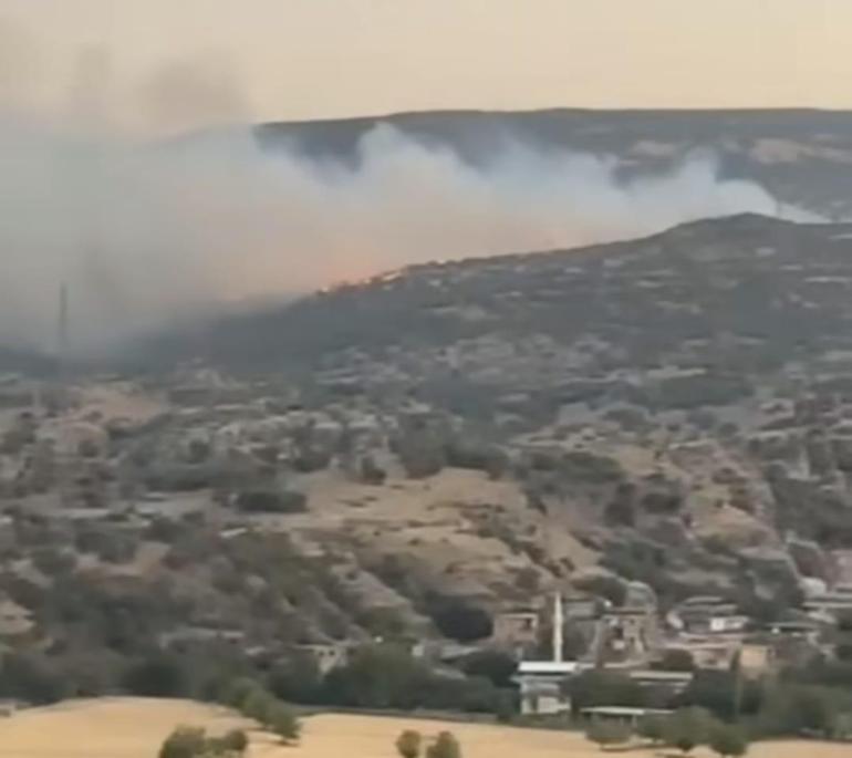Diyarbakırdaki örtü yangını kontrol altında