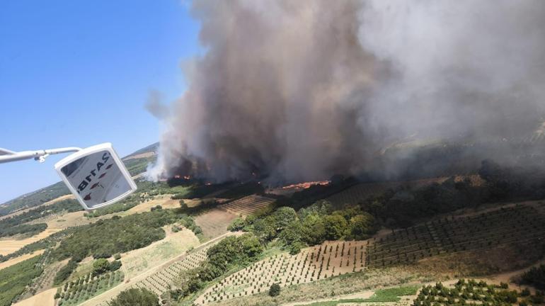 Çanakkale’de orman yangını kontrol altında
