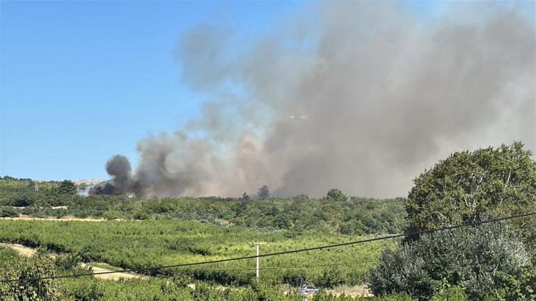 Çanakkale’de orman yangını kontrol altında