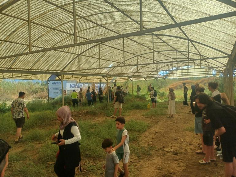 Manisada yolcu otobüsü fabrikanın bahçesine girdi: 3 yaralı