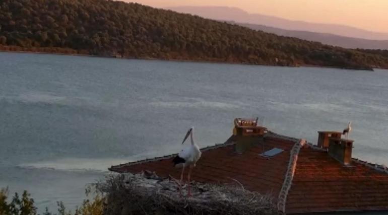 Yaren leyleğin depremi hissettiği anlar kamerada