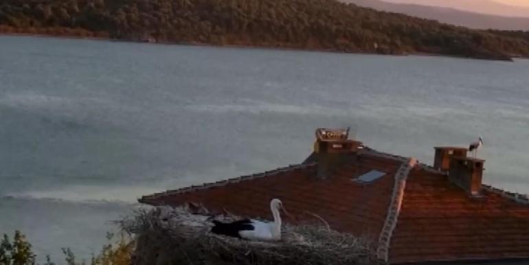 Yaren leyleğin depremi hissettiği anlar kamerada