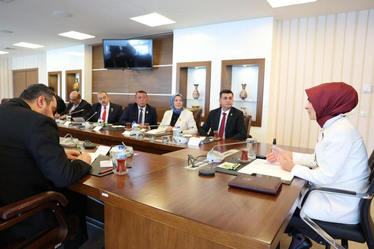 Bakan Göktaş, Türkiye Harp Malulü Gaziler, Şehit Dul ve Yetimleri Derneği üyelerini kabul etti