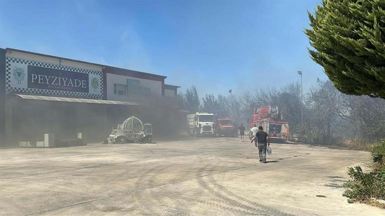 Çanakkalede orman yangını