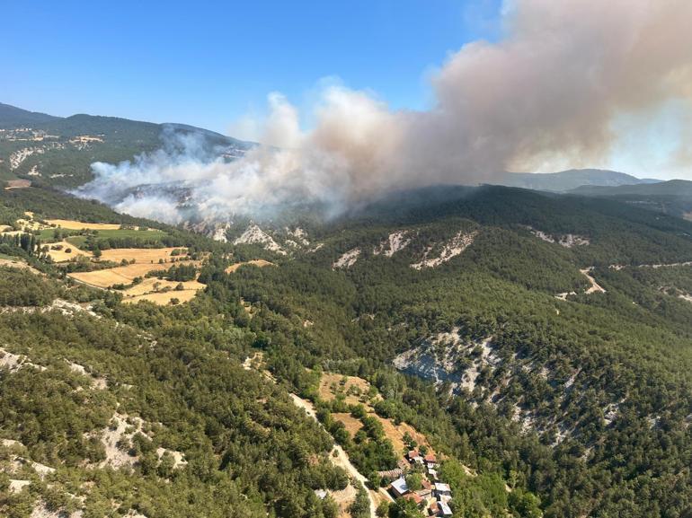 Boluda orman yangını