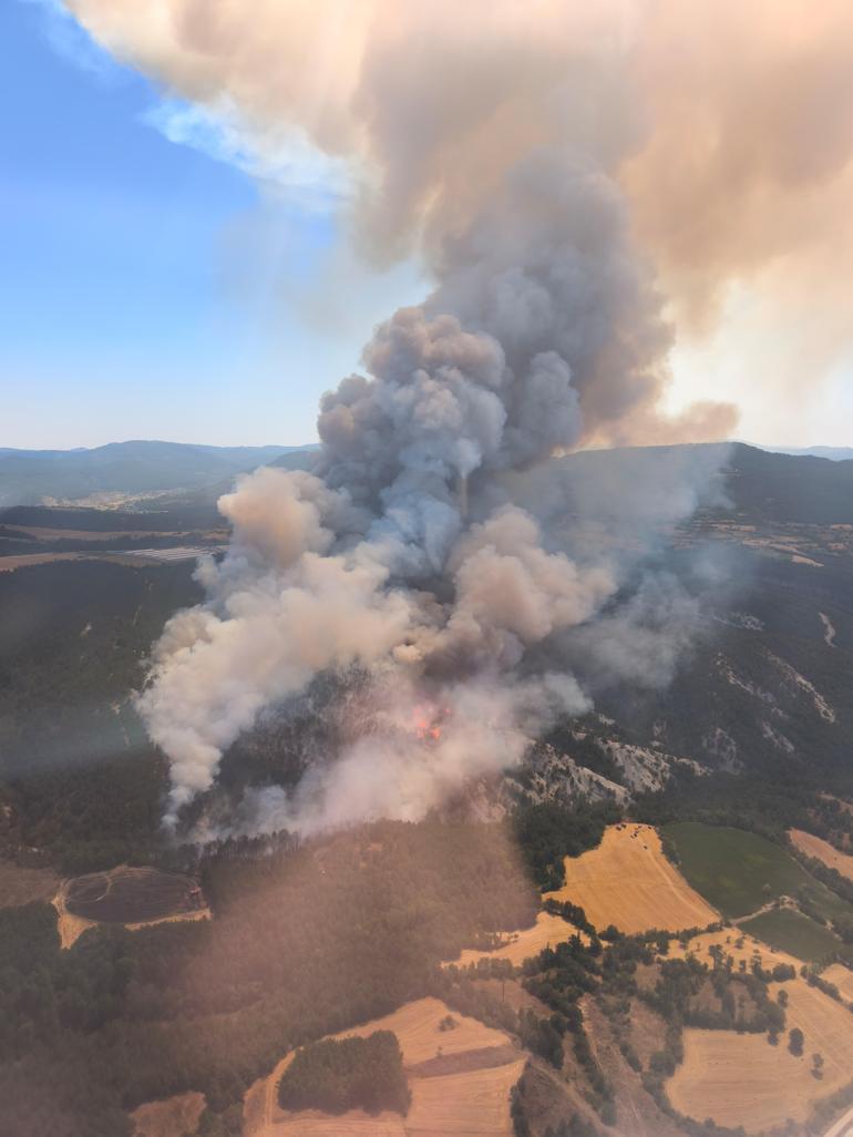 Boluda orman yangını