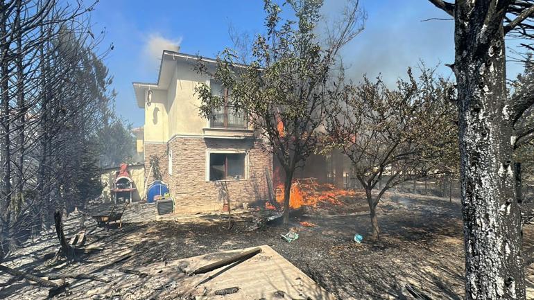 Çanakkalede orman yangını