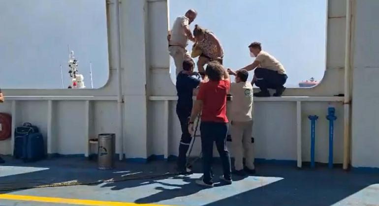 Çanakkalede orman yangını