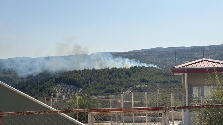 Hatayda orman yangını