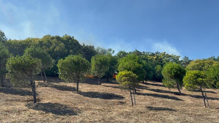 Çatalca’da aynı saatlerde başlayan 2 yangın kontrol altına alındı