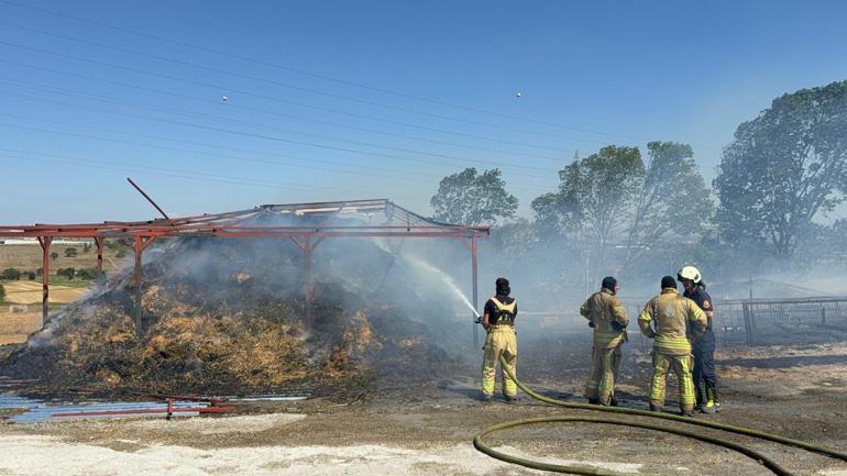 Çatalca’da aynı saatlerde başlayan 2 yangın kontrol altına alındı