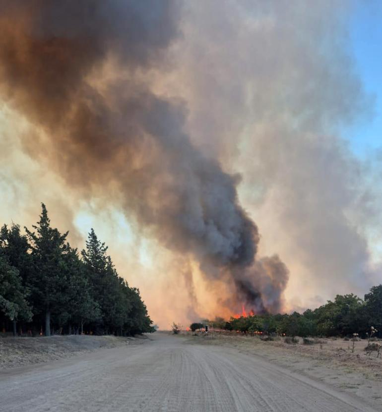 Edirne’de orman yangını