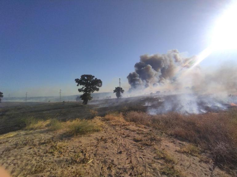 Edirne’de orman yangını