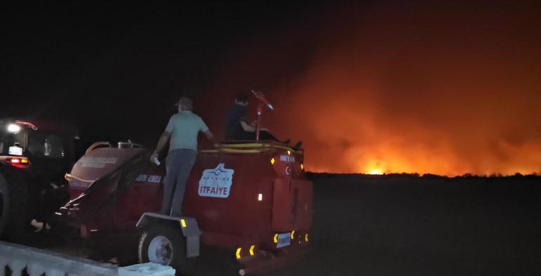 Edirne’de orman yangını