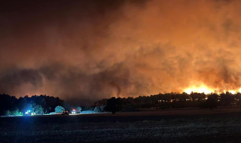 Edirne’de orman yangını