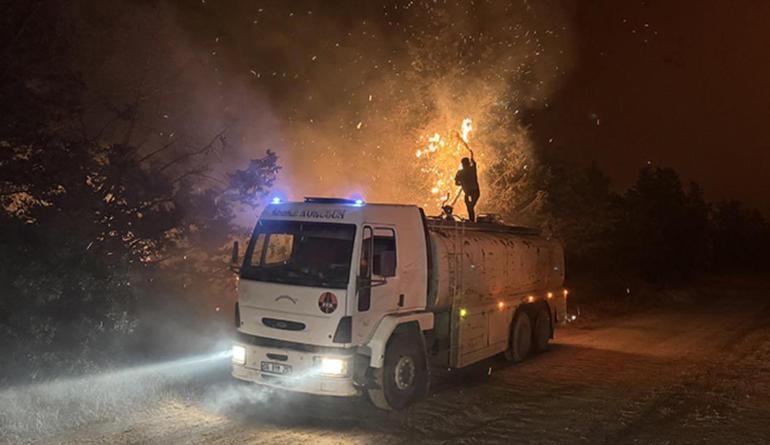 Edirne’de orman yangını