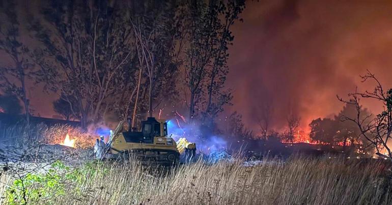 Edirne’de orman yangını
