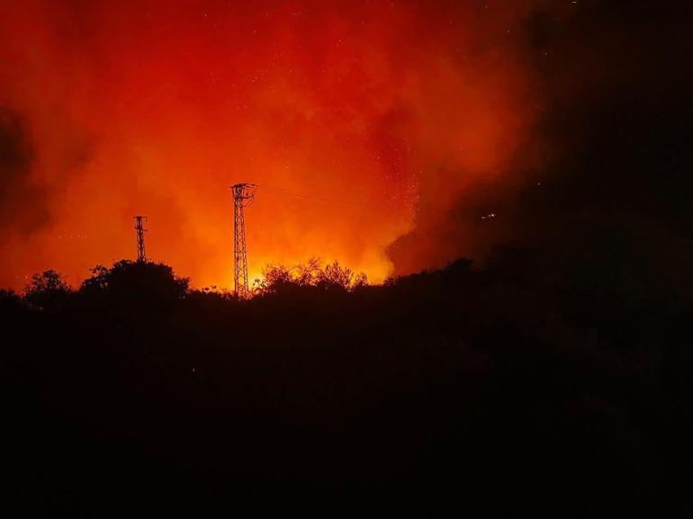 Hatayda orman yangını