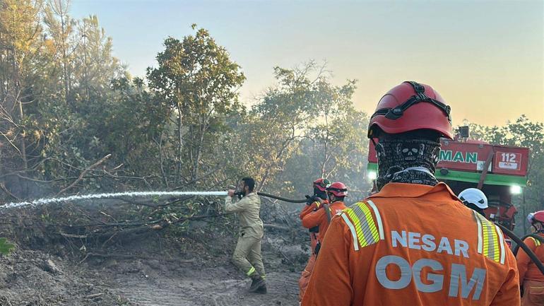 Edirnedeki orman yangını 16 saatte kontrol altına alındı