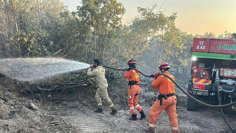 Edirnedeki orman yangını 16 saatte kontrol altına alındı