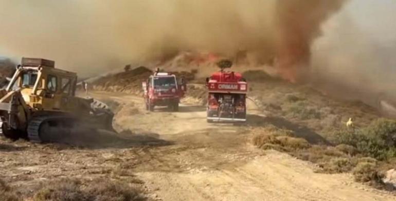 İzmirde orman yangını